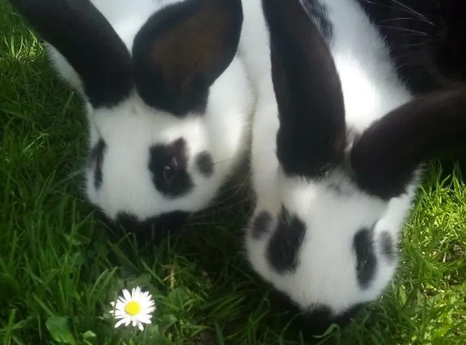 Vorderstuhlhof クライナル